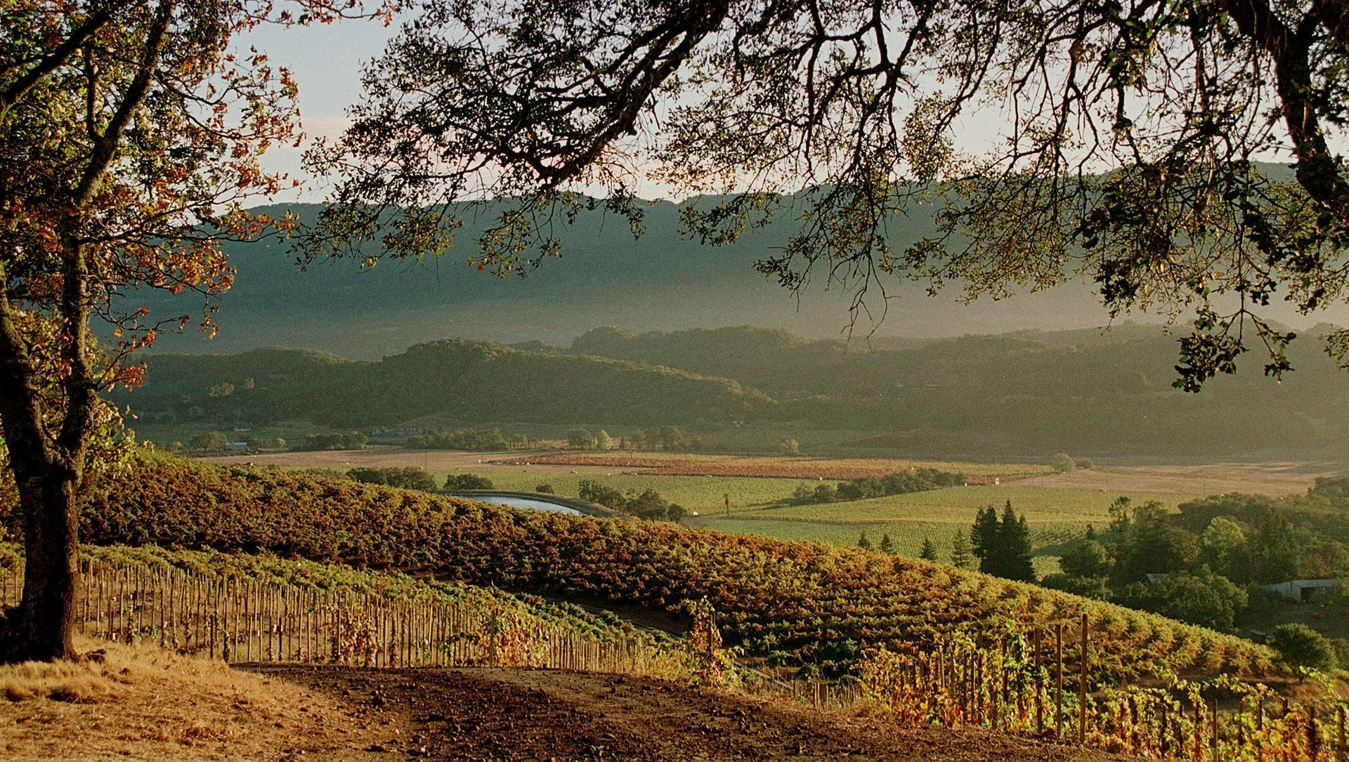 thumbnails Sonoma County Wine Country Constellation